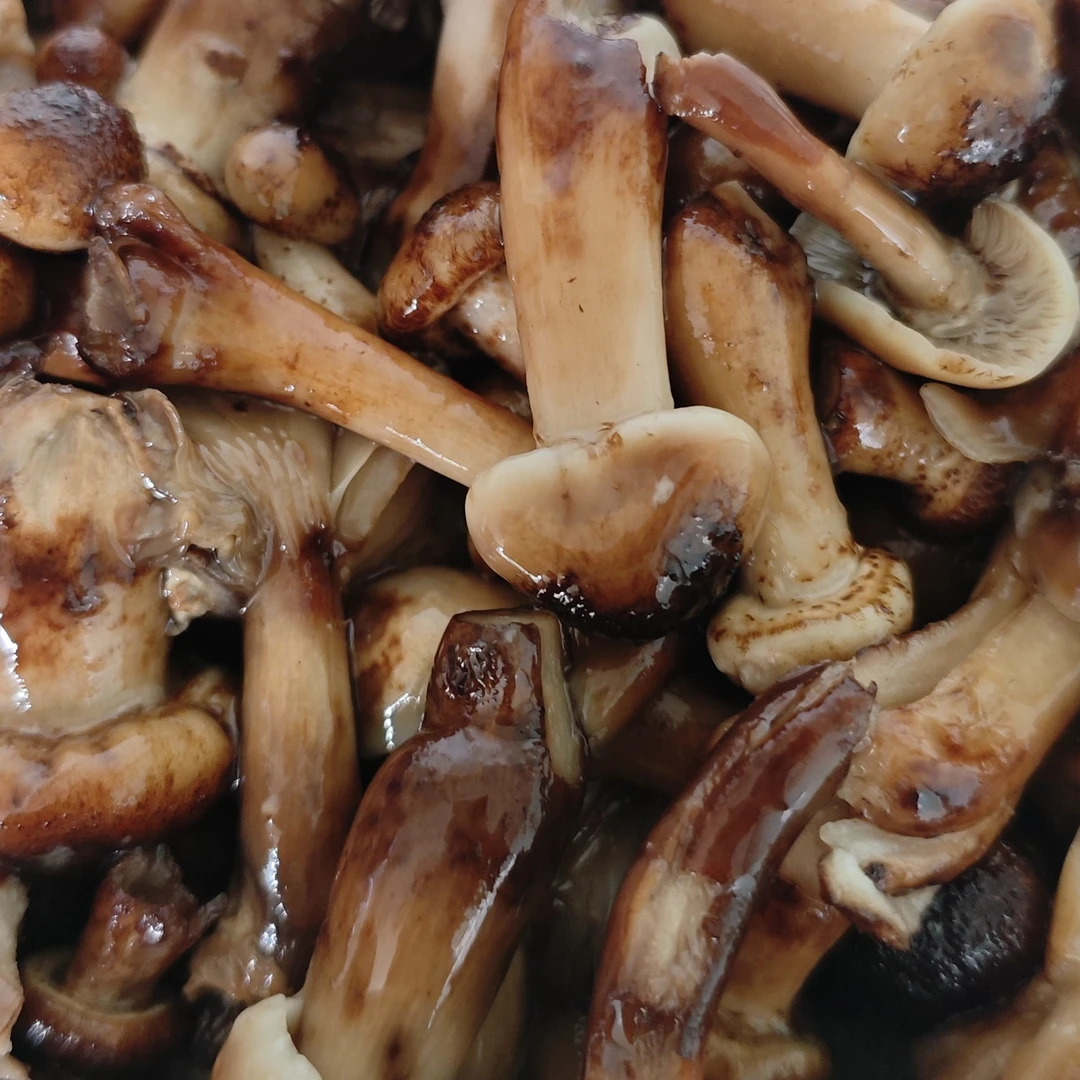 腌制野生榛蘑丁去根干净,一瓶1000g