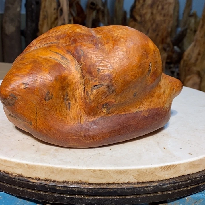 高**家我们都是你的粉丝43