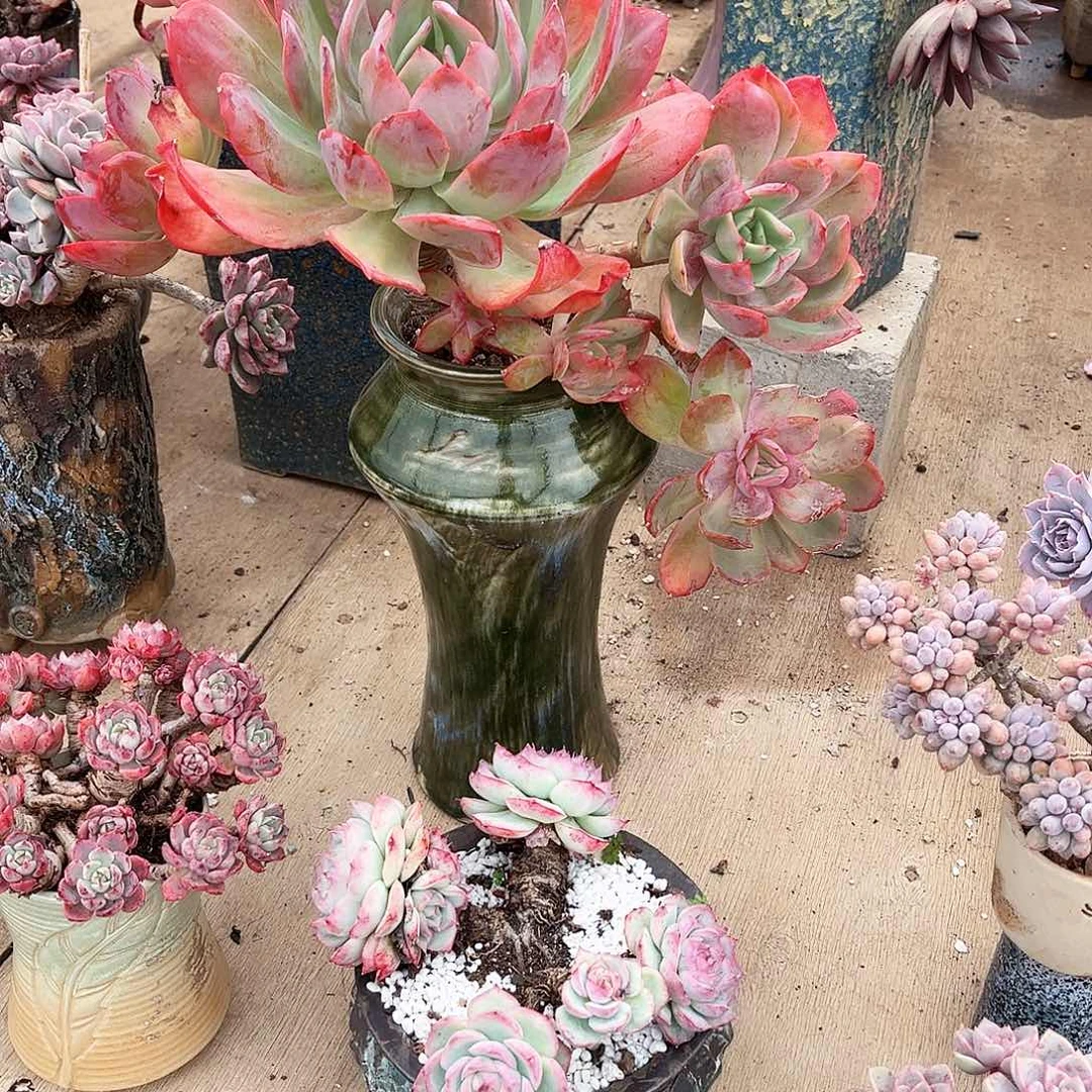 你是不是不．．我了呀我不知道我