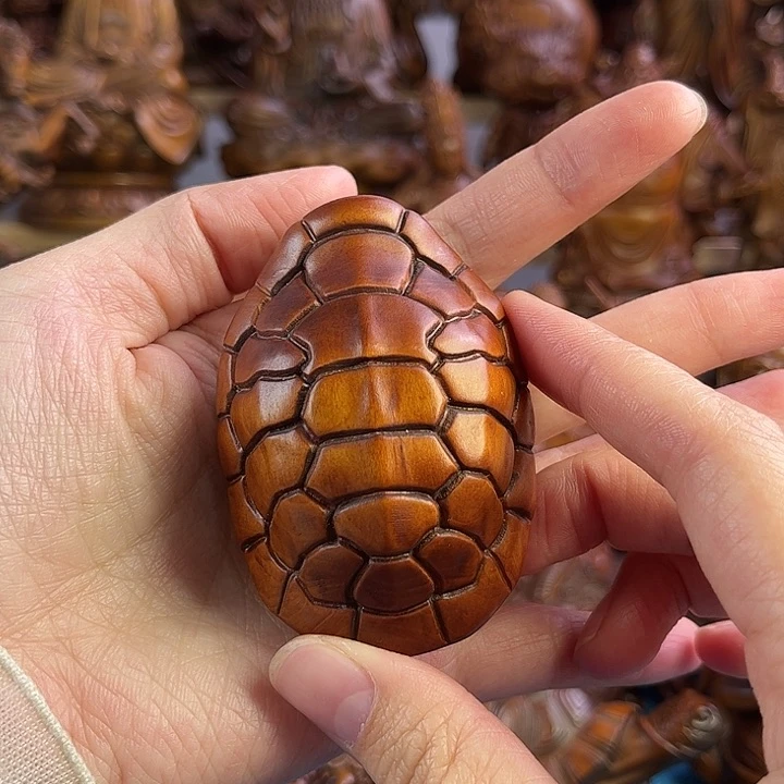 黄杨木小叶黄杨木