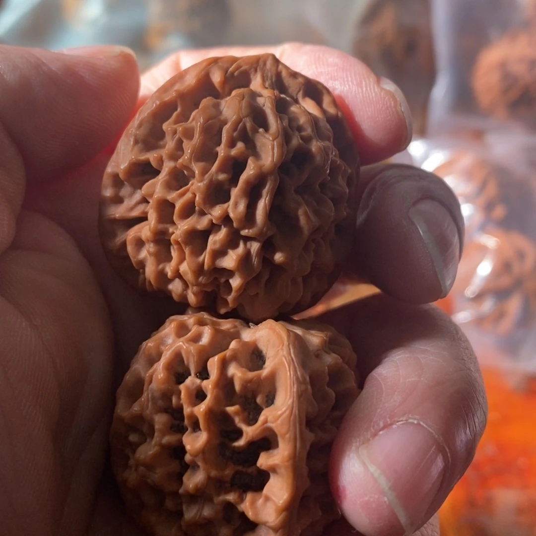 秦岭南侧和东北的山脉