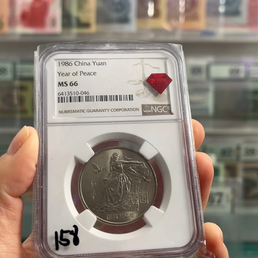 国际和平年66分！！！！！