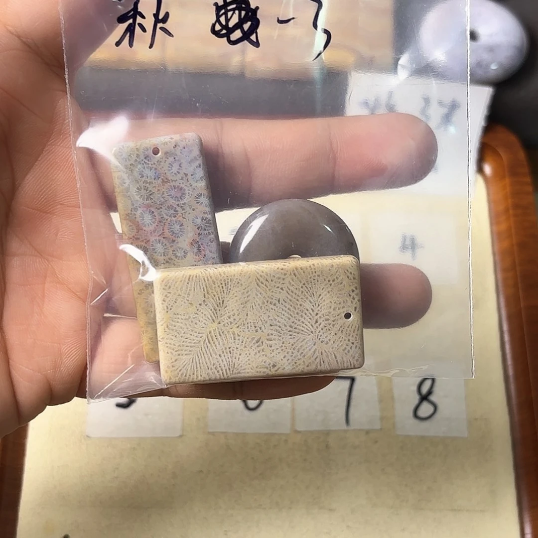 硅化玉颈饰未镶嵌?****落