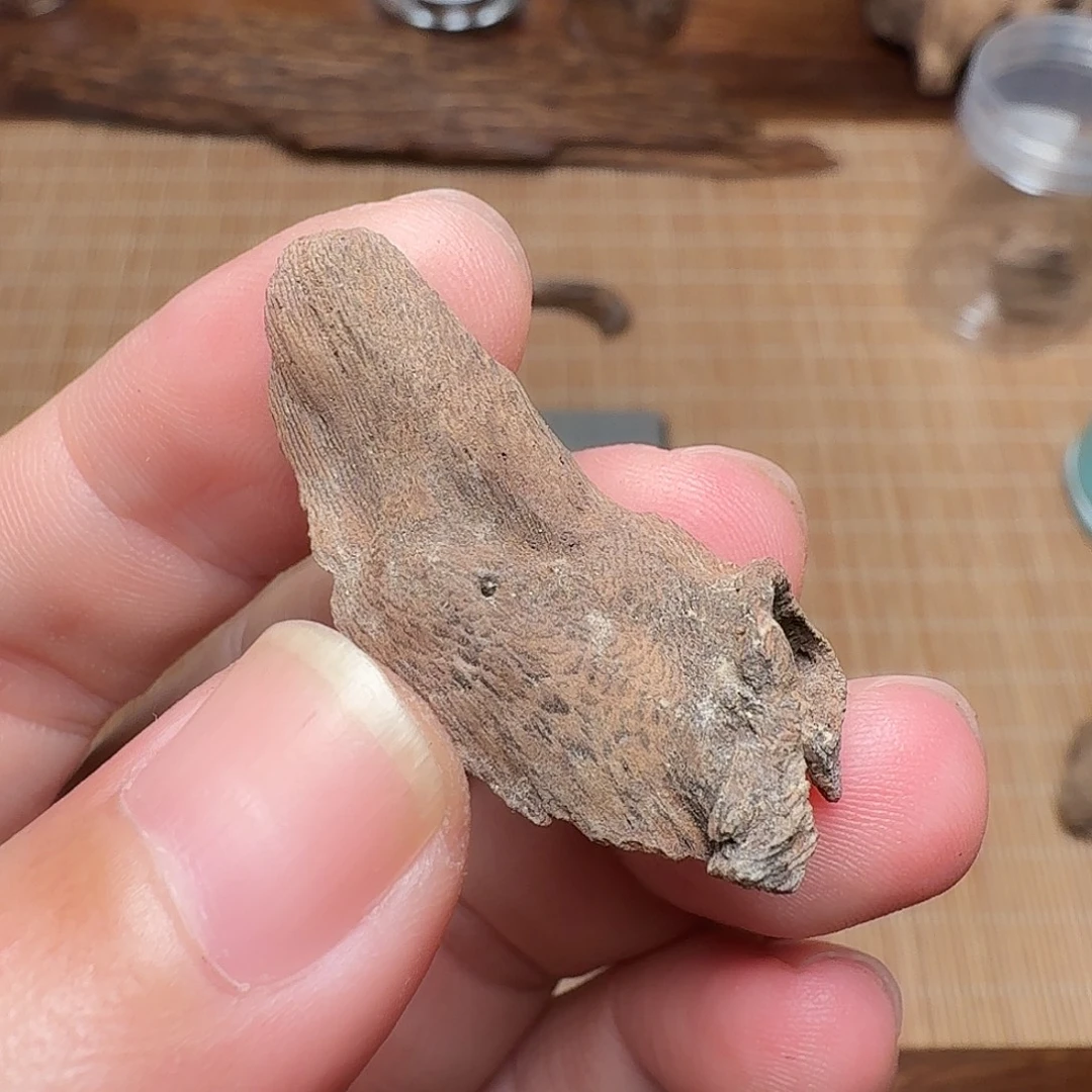 沉香国香香港土沉