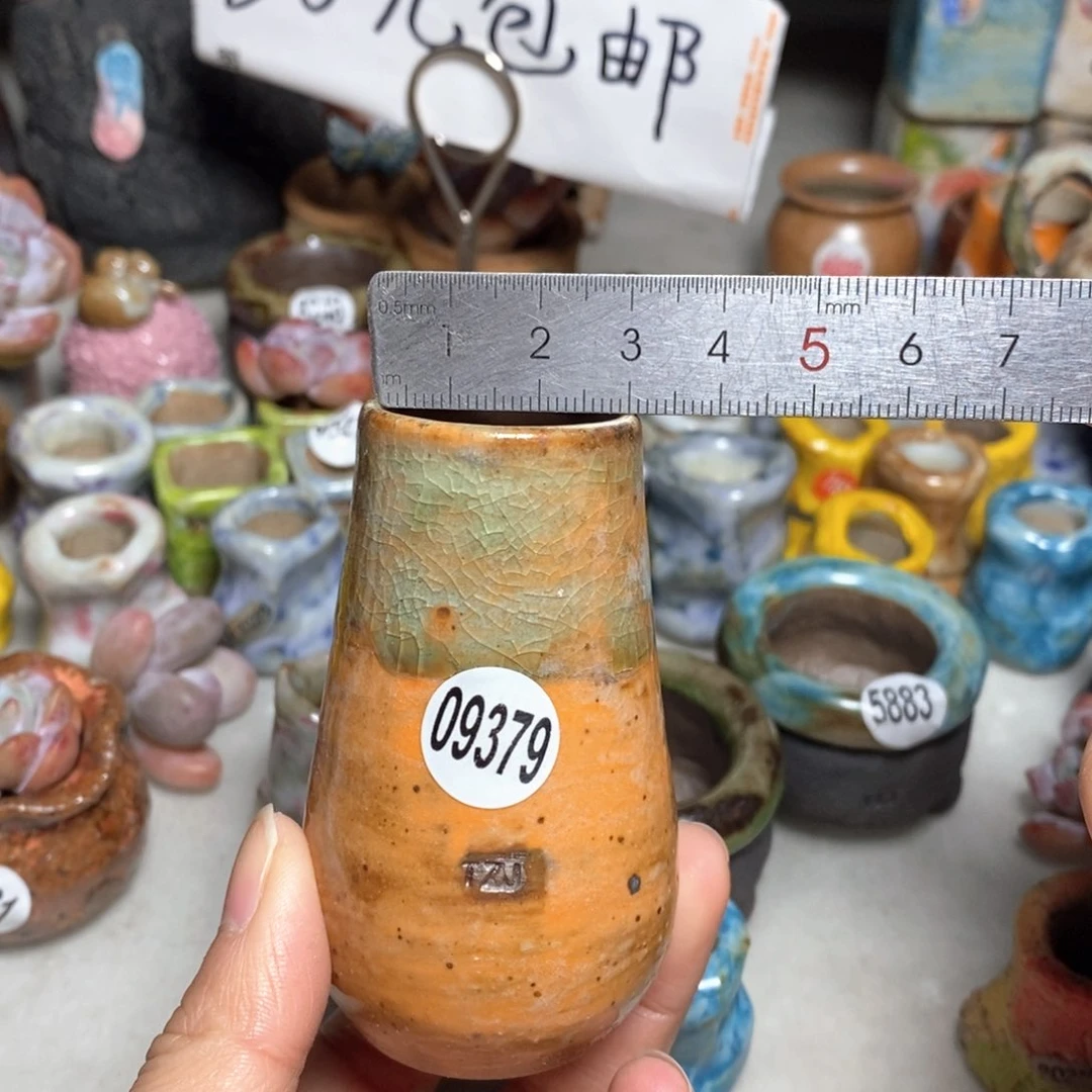 拍5送一个小礼物