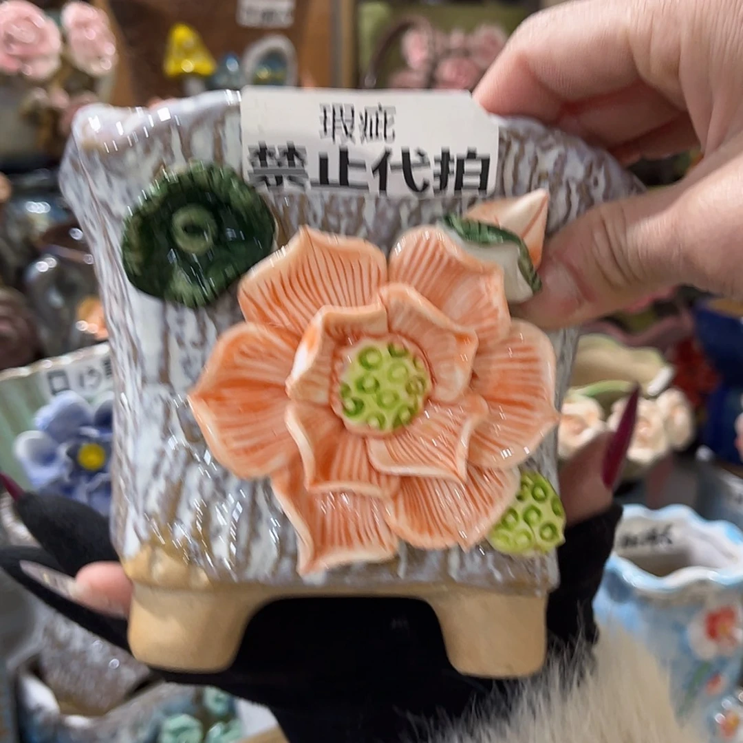 【闪购商品】红陶福利