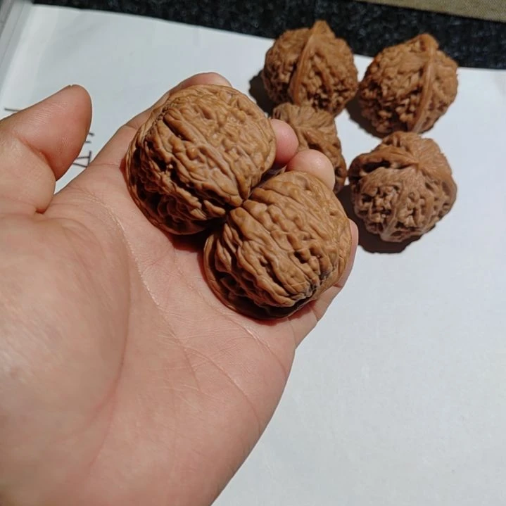 龙脊菩提吊坠楼子