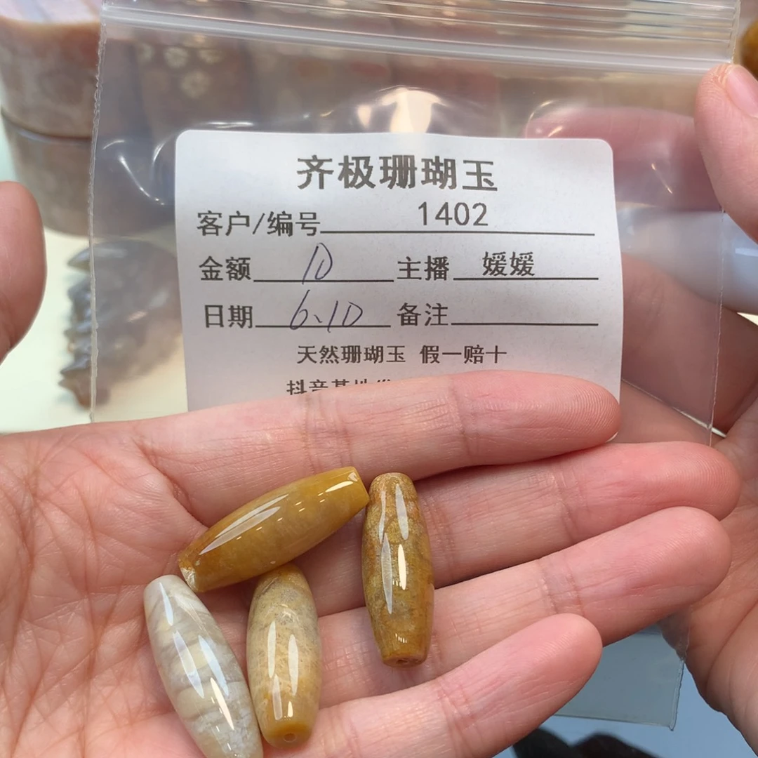 硅化珊瑚（珊瑚玉）未镶嵌颈饰哇***?