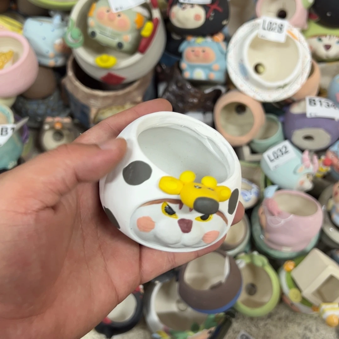 Zx瑕疵福利 不售后