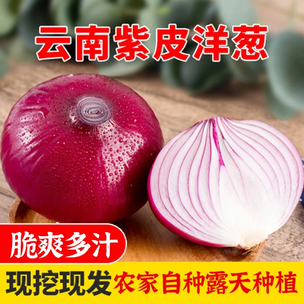 云南新鲜洋葱紫皮红皮大葱农家自种紫色水果洋葱洋葱微甜5/9斤