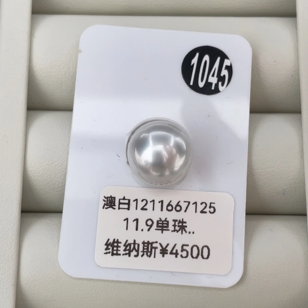 定制海水珍珠未镶嵌耳饰11.9mm海水澳白珍珠维纳斯五星 雪