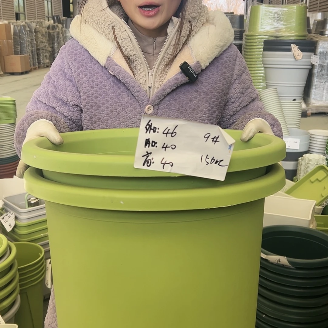 四季盆9#果绿4个无托