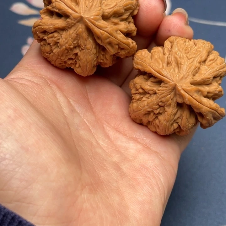 文玩核桃把件粗筋43