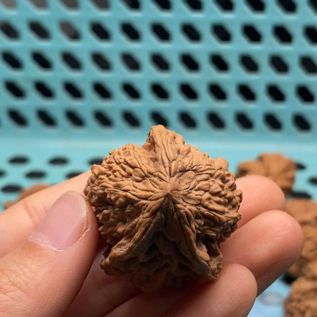 飞***觉核桃定制商品不退不换