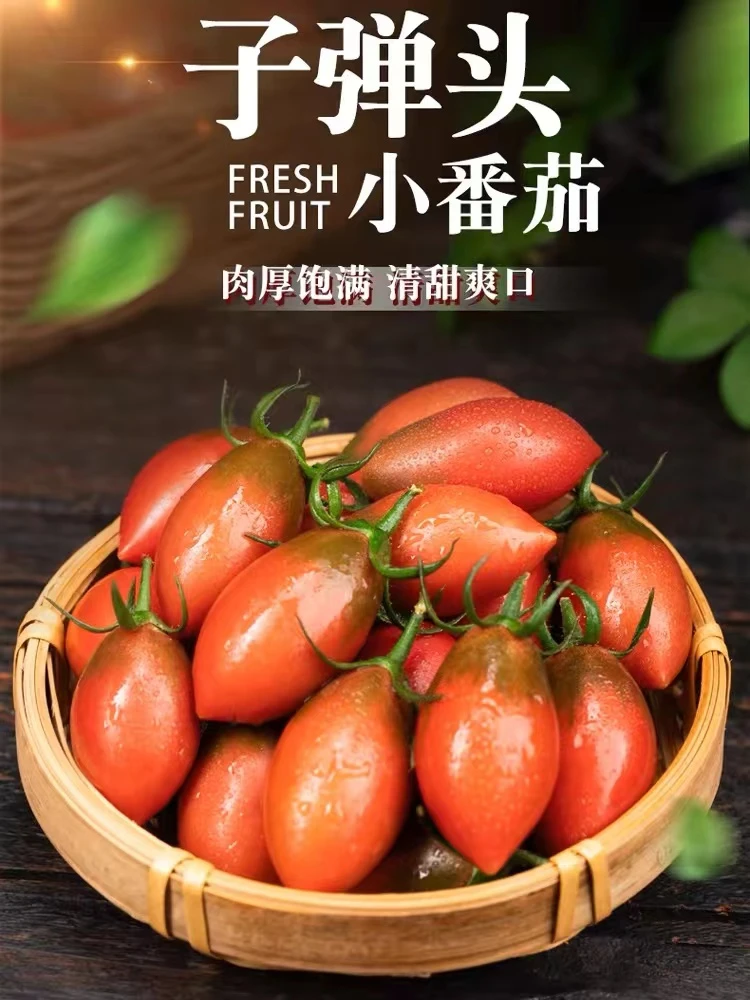 漳州紫弹头小番茄维生素创造者清脆甜碱地柿子当季鲜嫩西红柿饱满