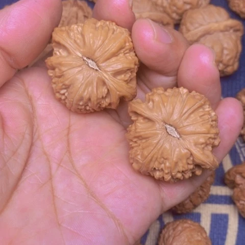 【闪购商品】文玩核桃吊坠米***爸白狮子39