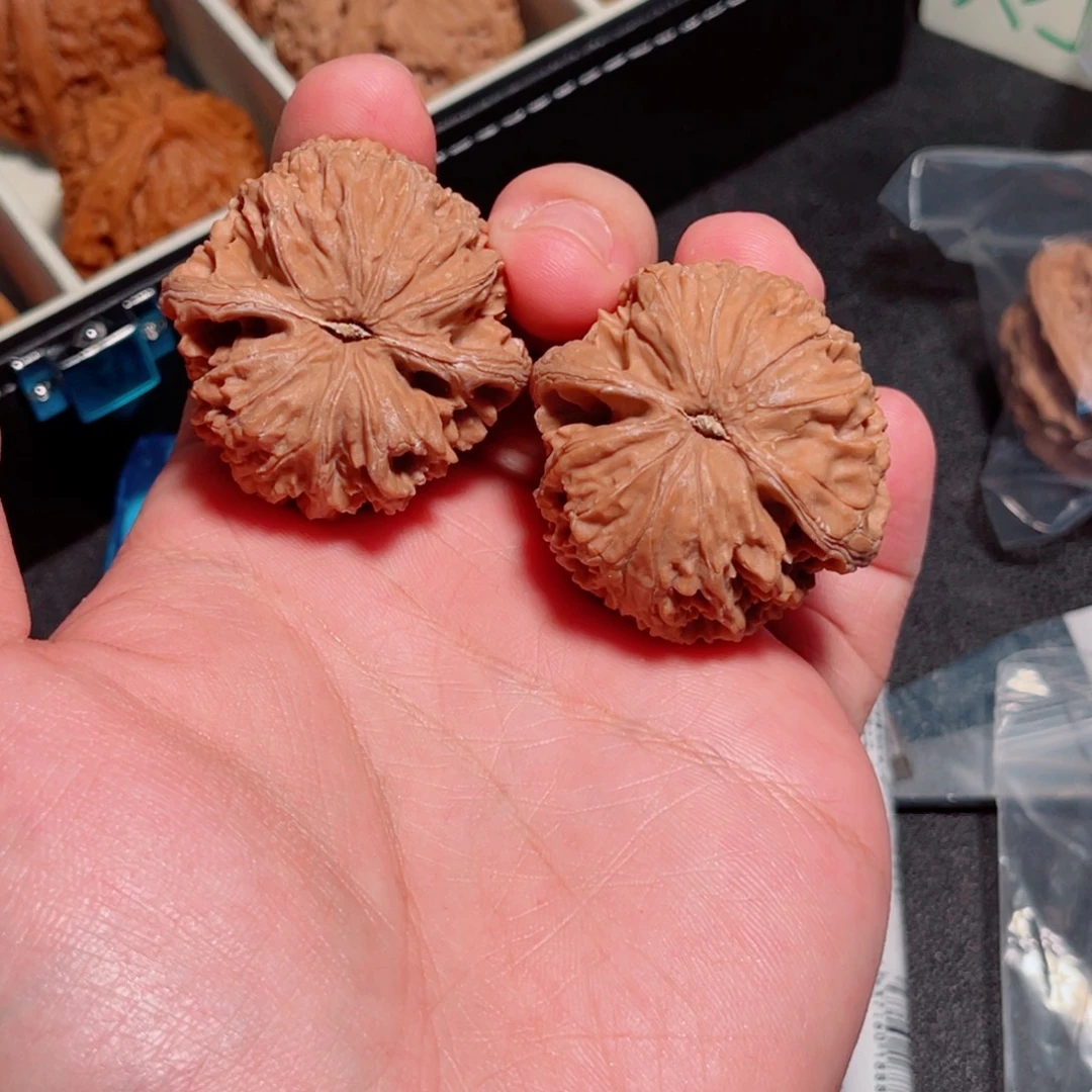 40全品红皮野生小众