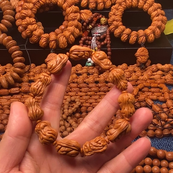 木质类秦岭山脉野生