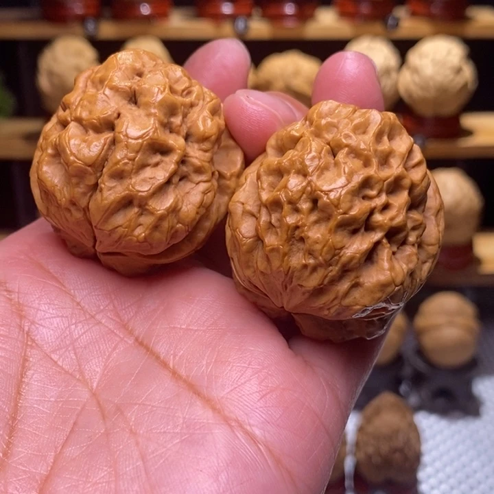 木质类云铁龙甲65号
