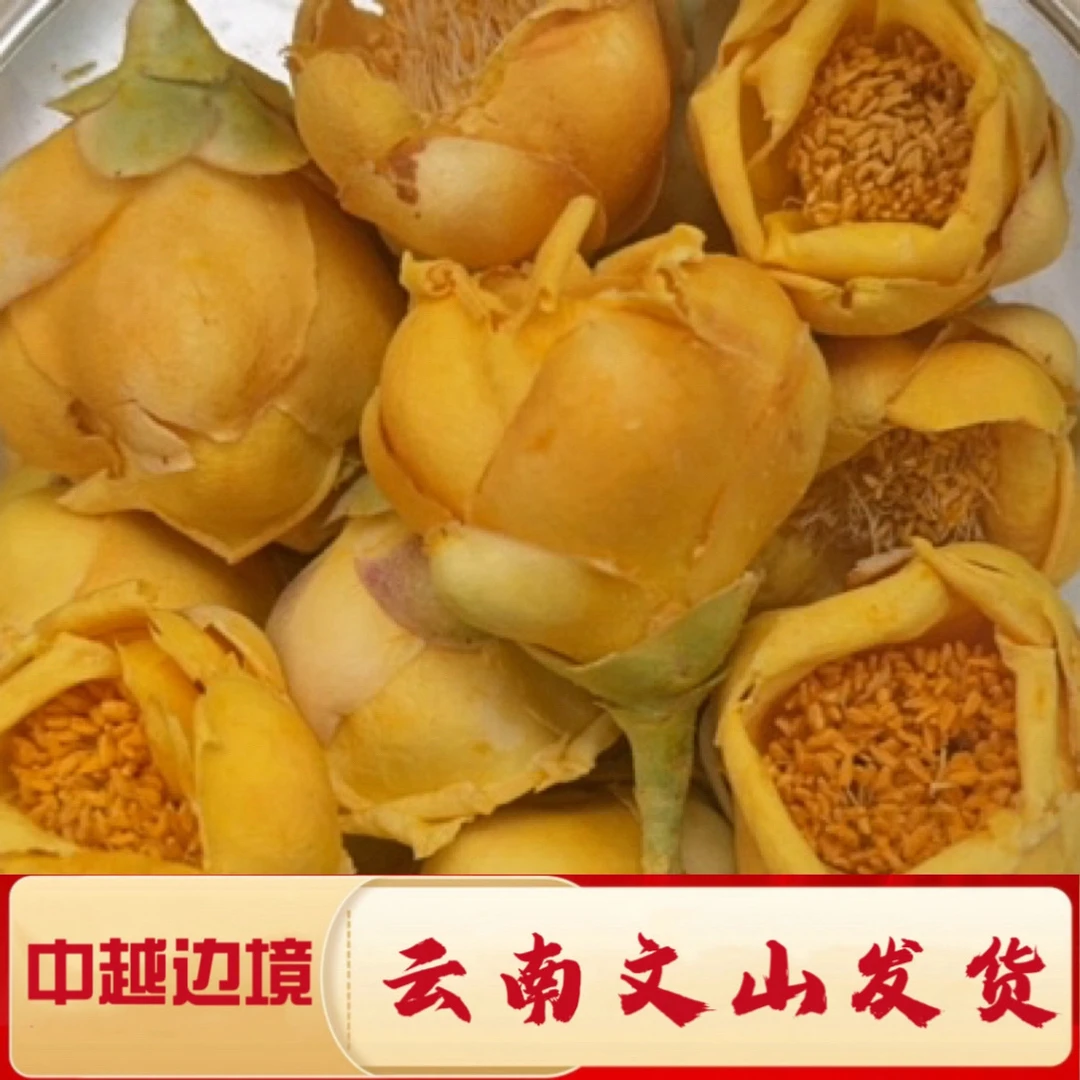 一村一品——山野好货金花茶