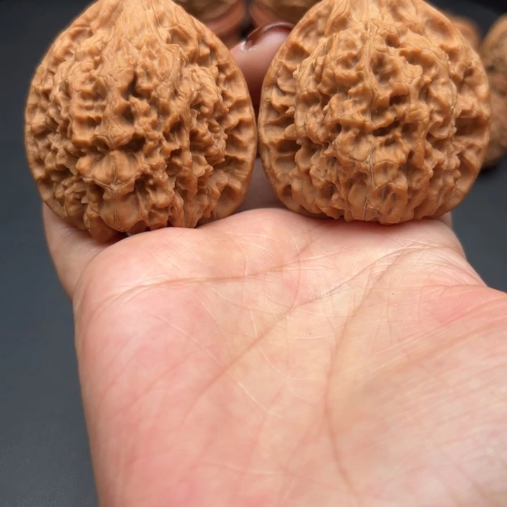 核桃官帽37尺核桃