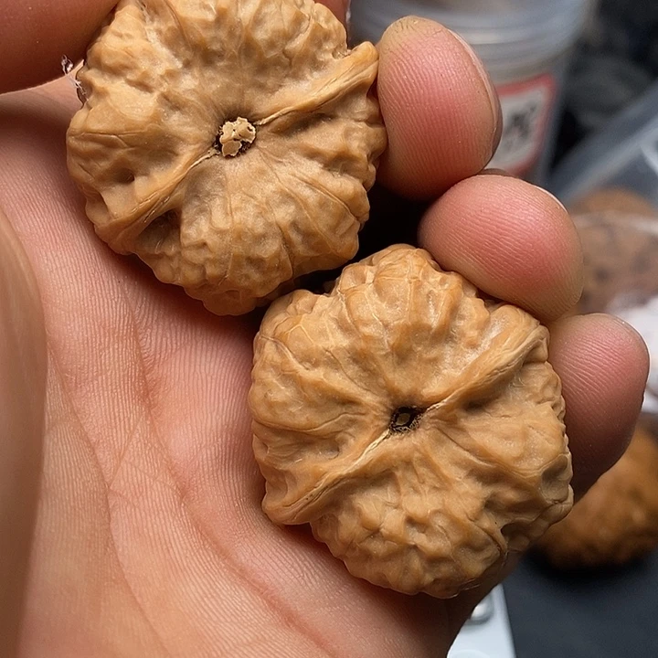 文玩核桃把件Y**g蛤蟆36