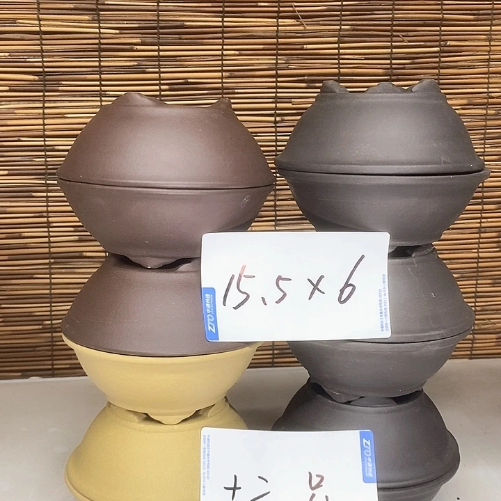 紫砂花盆我在外面