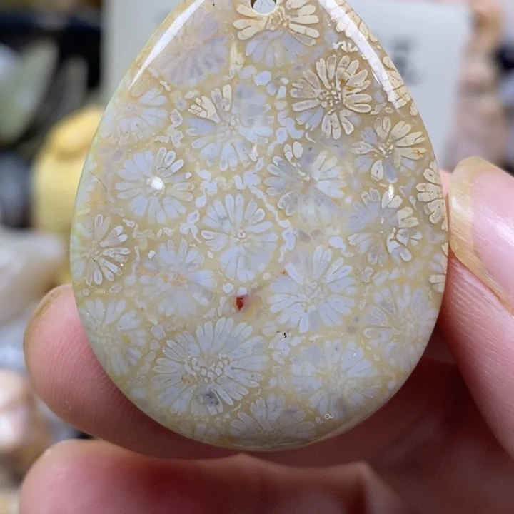 硅化珊瑚（珊瑚玉）未镶嵌颈饰