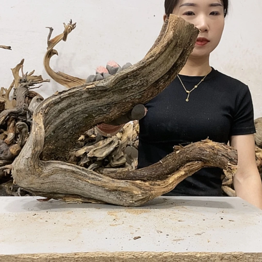 【闪购商品】柏木福*盛我们都是好孩子