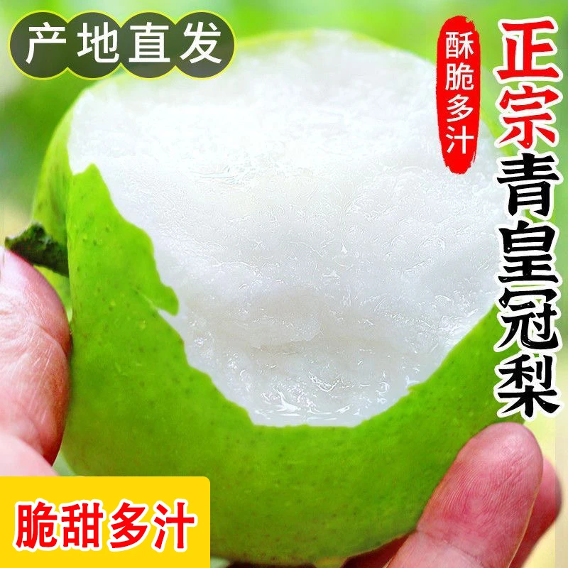 新鲜现摘砀山皇冠梨10斤青皮梨蜜梨水果应季脆甜产地直发整箱批发