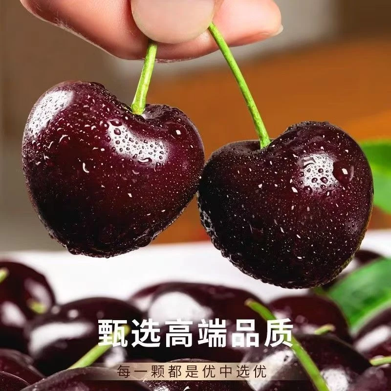 【冰种】智利车厘子5斤装1/2/3J海运新鲜水果整箱包邮 内附果径卡
