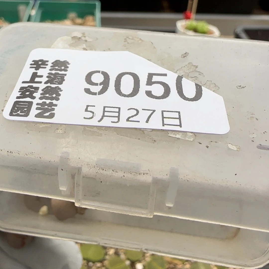 L****?5.27。 216。 9050。腿