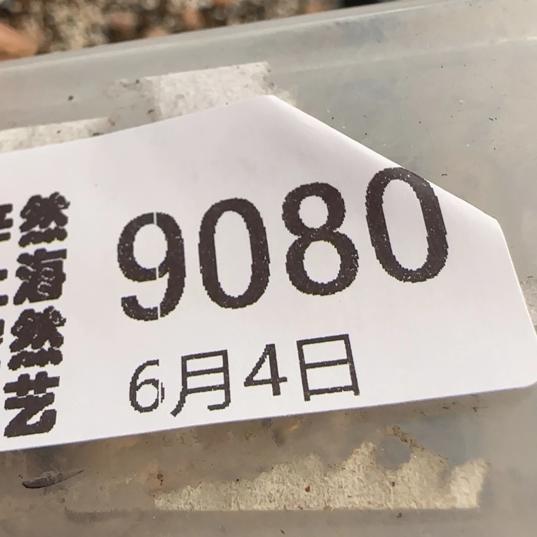 星*ฅ6.4。217。9080。。。