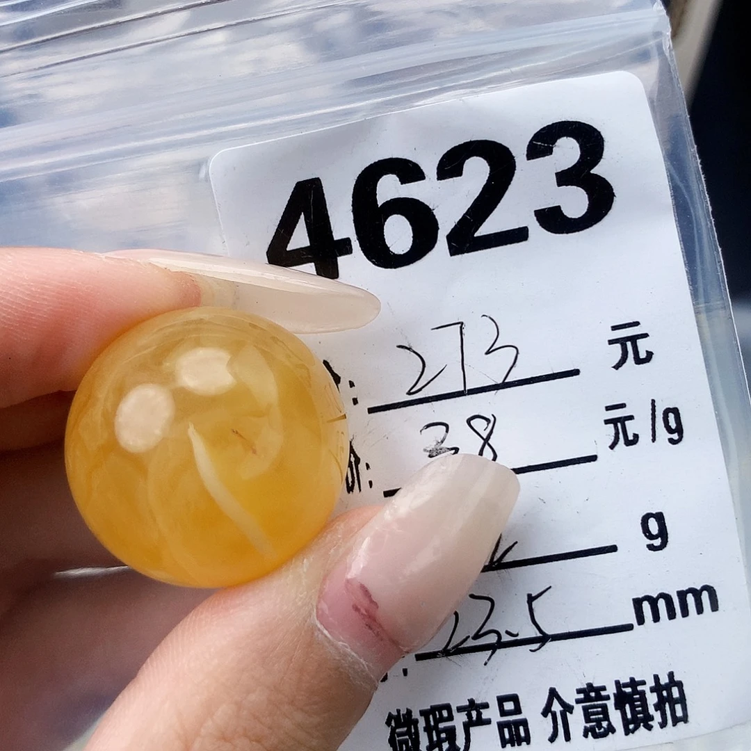 琥珀未镶嵌珠宝奇石23.5植物