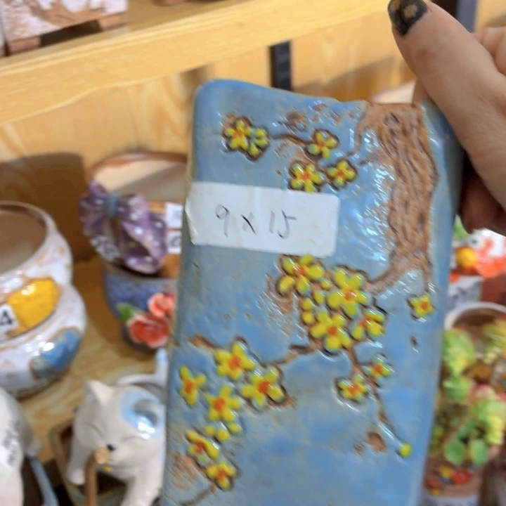 多肉花盆满15包邮