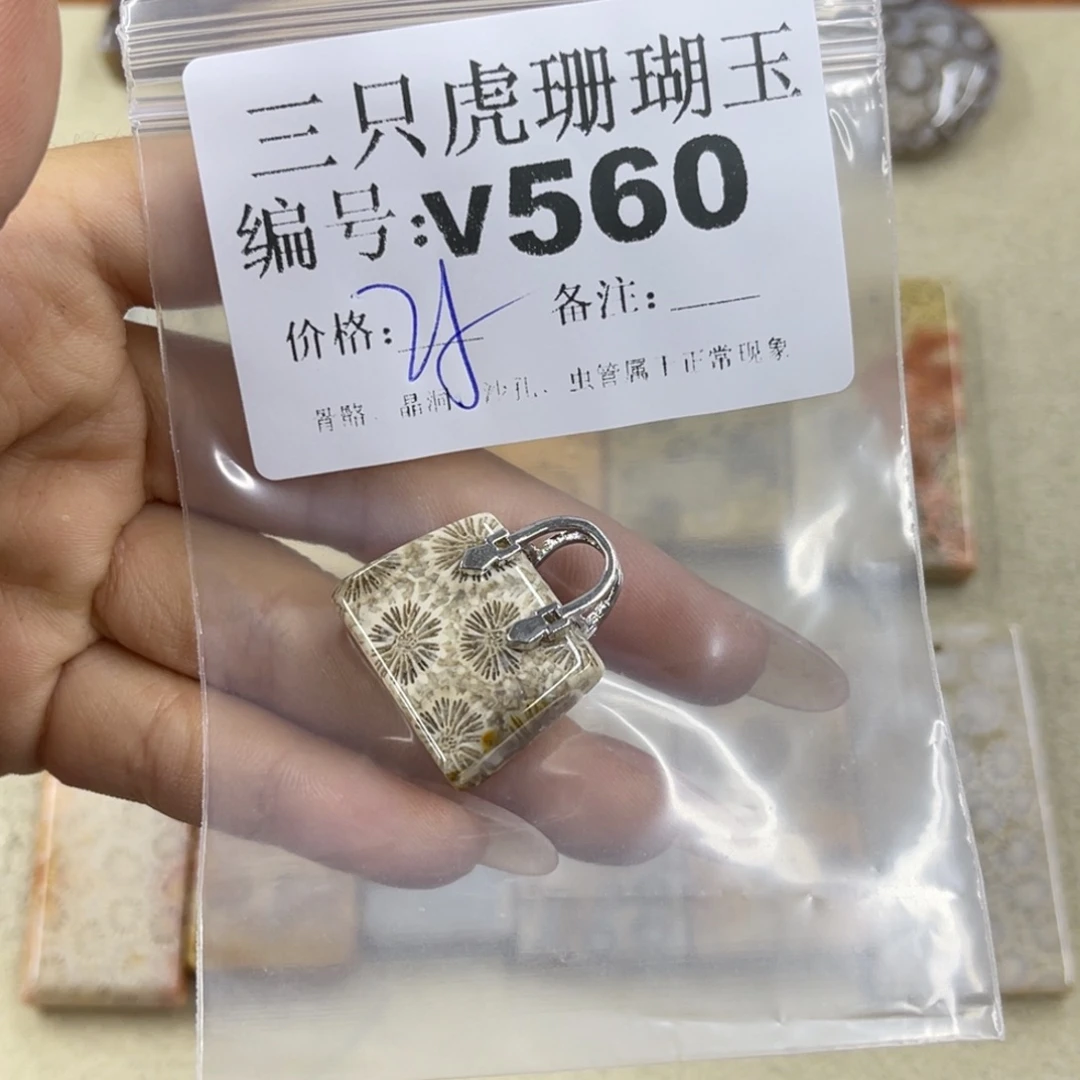 学***硅化珊瑚（珊瑚玉）未镶嵌h