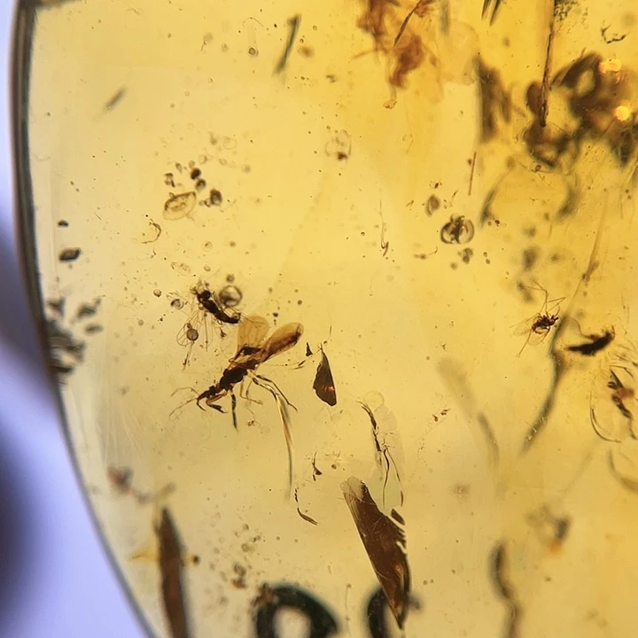 琥珀裸石未镶嵌？