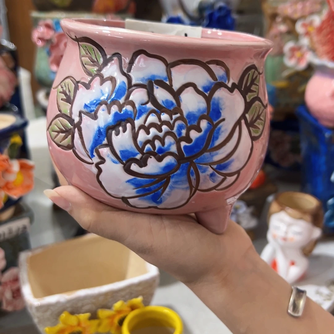 本场满100送一个花盆