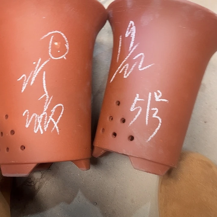 51号号宜兴紫砂花盆特惠