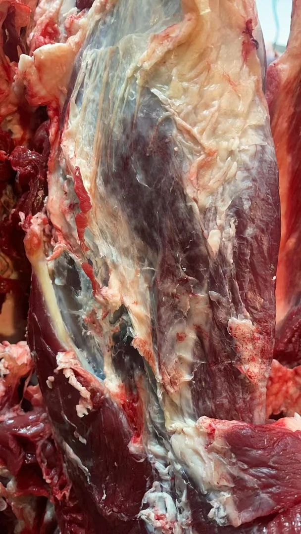 农村散养黄牛肉【腿肉】现切现称