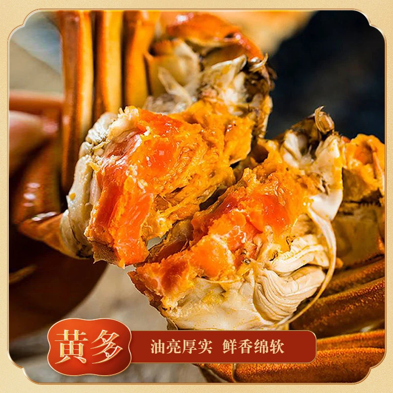 蟹正红 江苏大闸蟹 活蟹 公蟹5两四只+母蟹4两四只