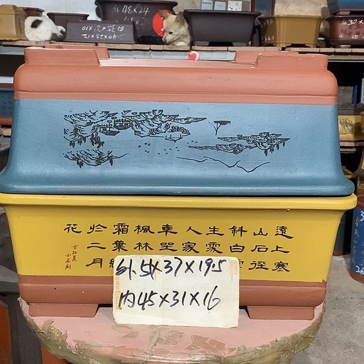 紫砂花盆花盆包邮