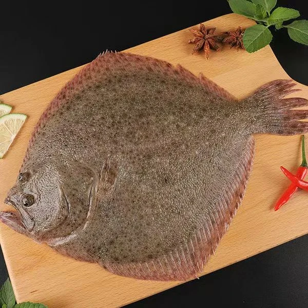 多宝鱼 比目鱼 一斤左右个头 5-6条 新鲜 速冻 冷链发货