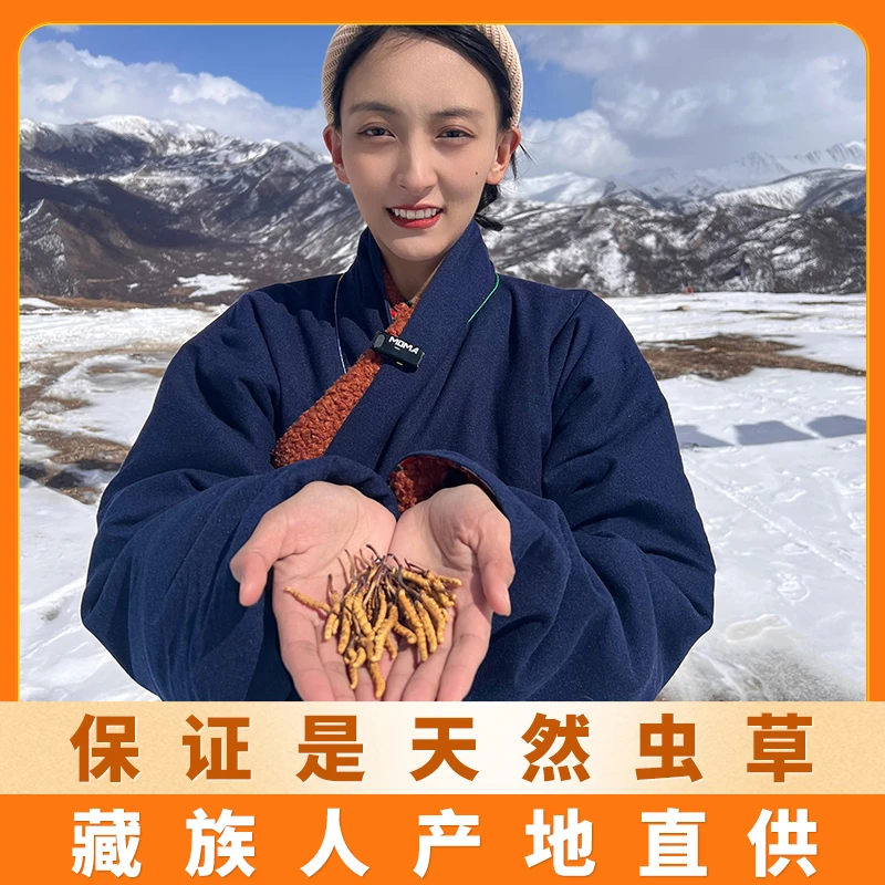 【那曲小草5根/克】草小二天然虫草 那曲官方旗舰店藏族人产地直供