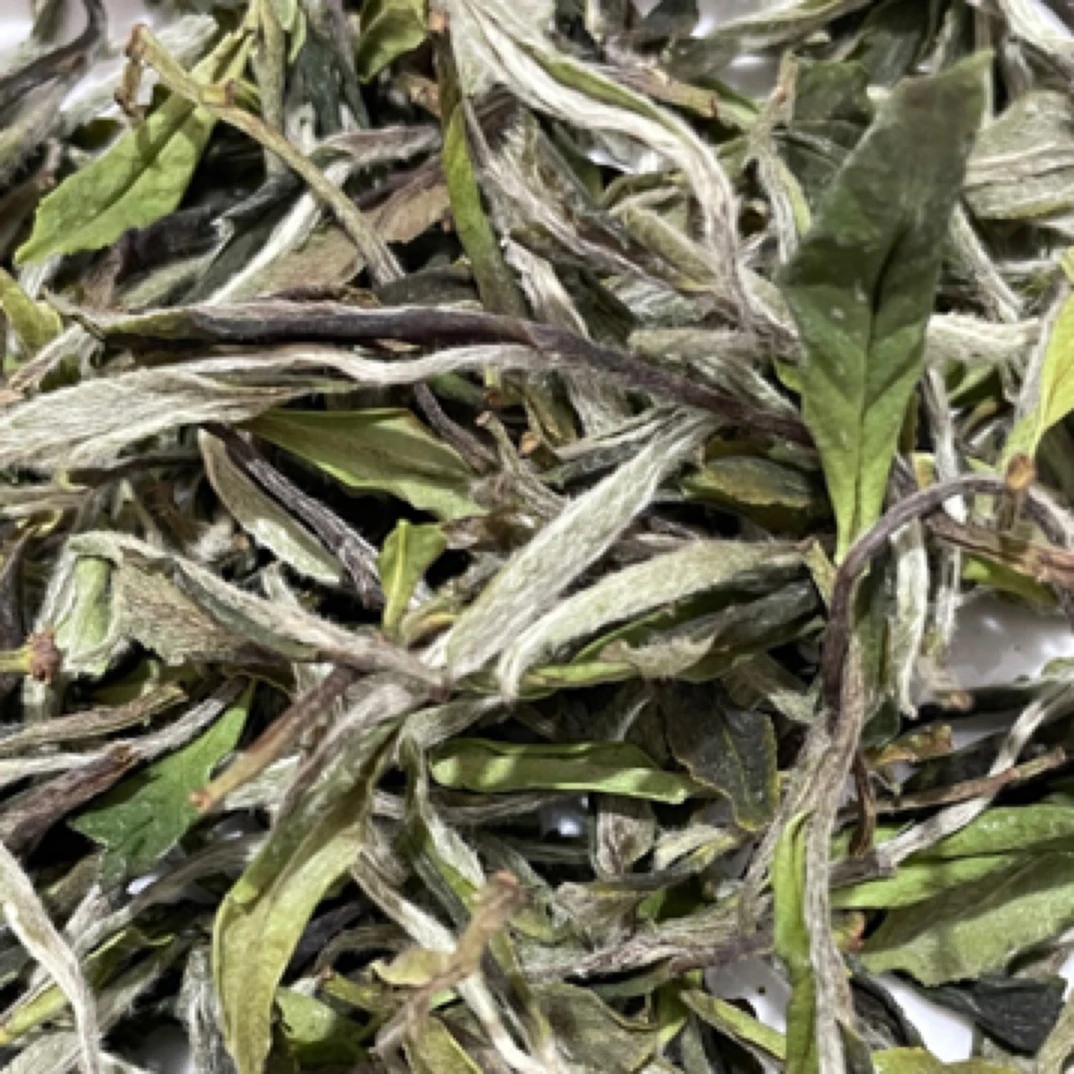 2025年福鼎白茶白牡丹一级老树管阳茶高山茶花香毫香明前茶