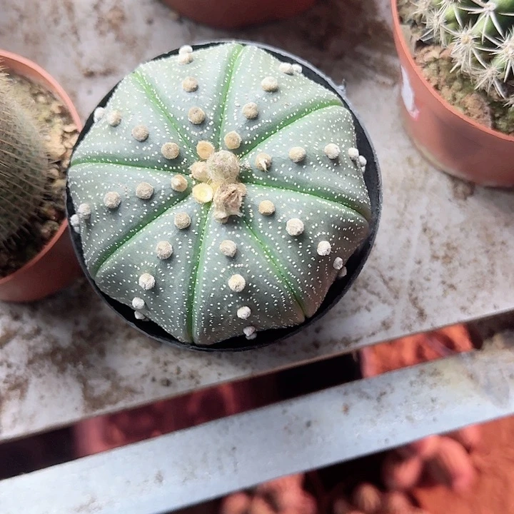 娜***娜哈哈哈哈哈哈哈哈哈