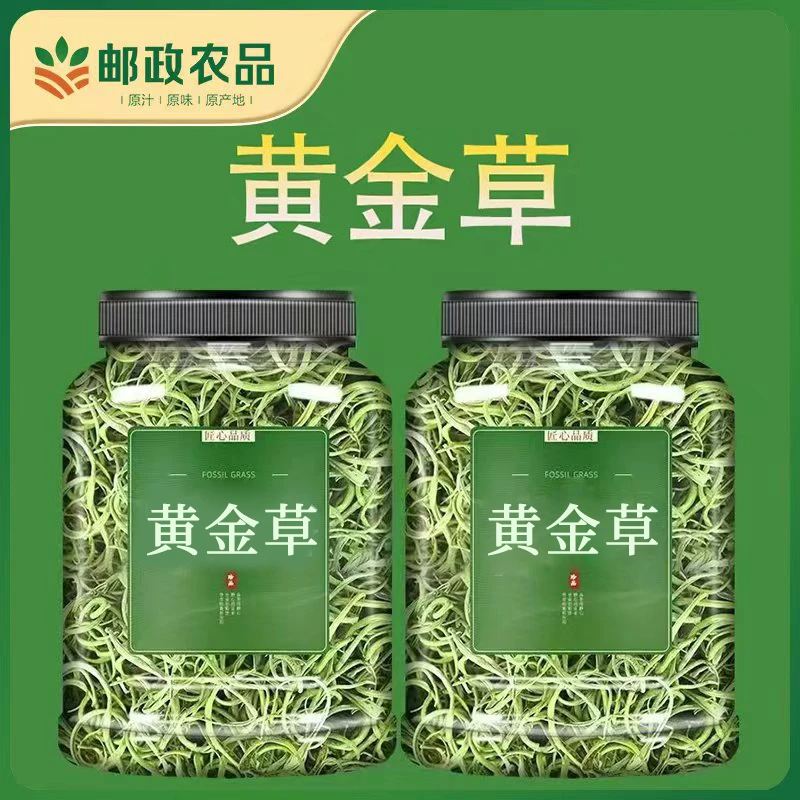正宗黄金草黄金草茶长白山深山小草搭配百合泡嗷叫茶干化石草