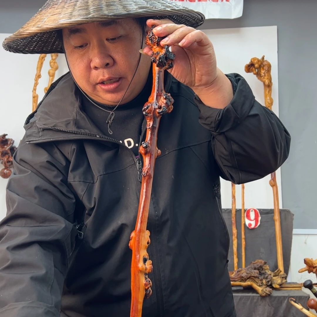 黑果木其他黑果木170
