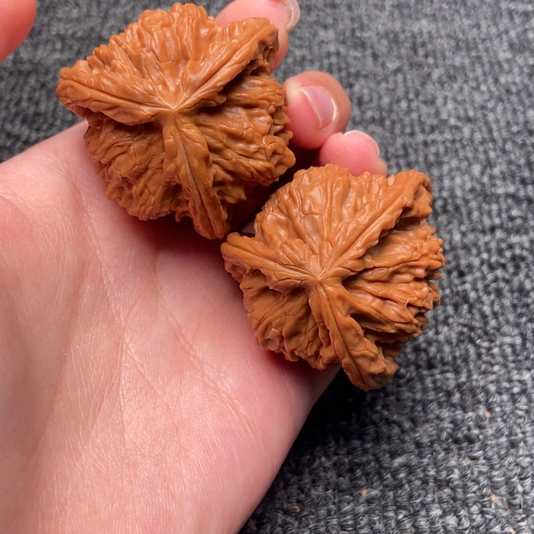 木质类白狮子正奔