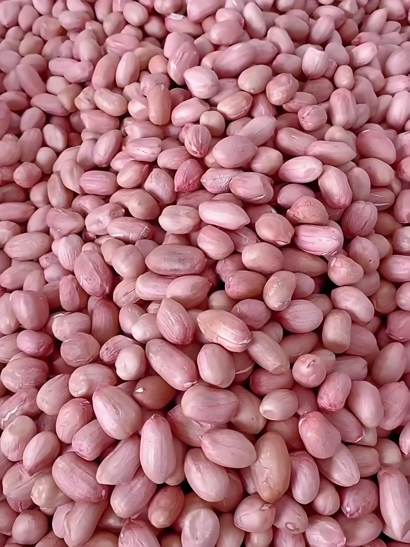 如皋本地花生米高沙土花生米细壳花生细荚花生